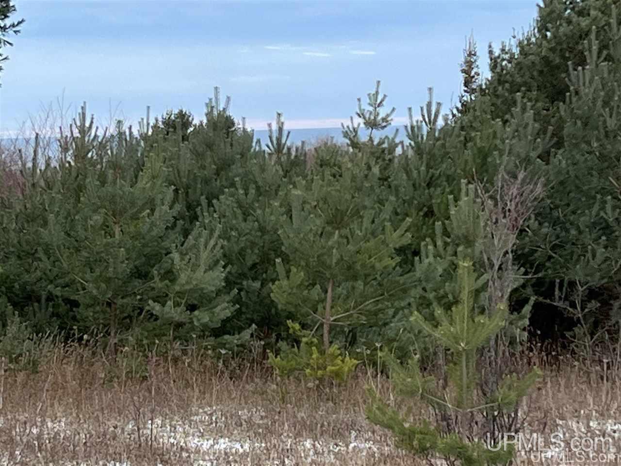 21054 McGunn Creek Road Calumet, MI 49913 - Photo 35 of 49