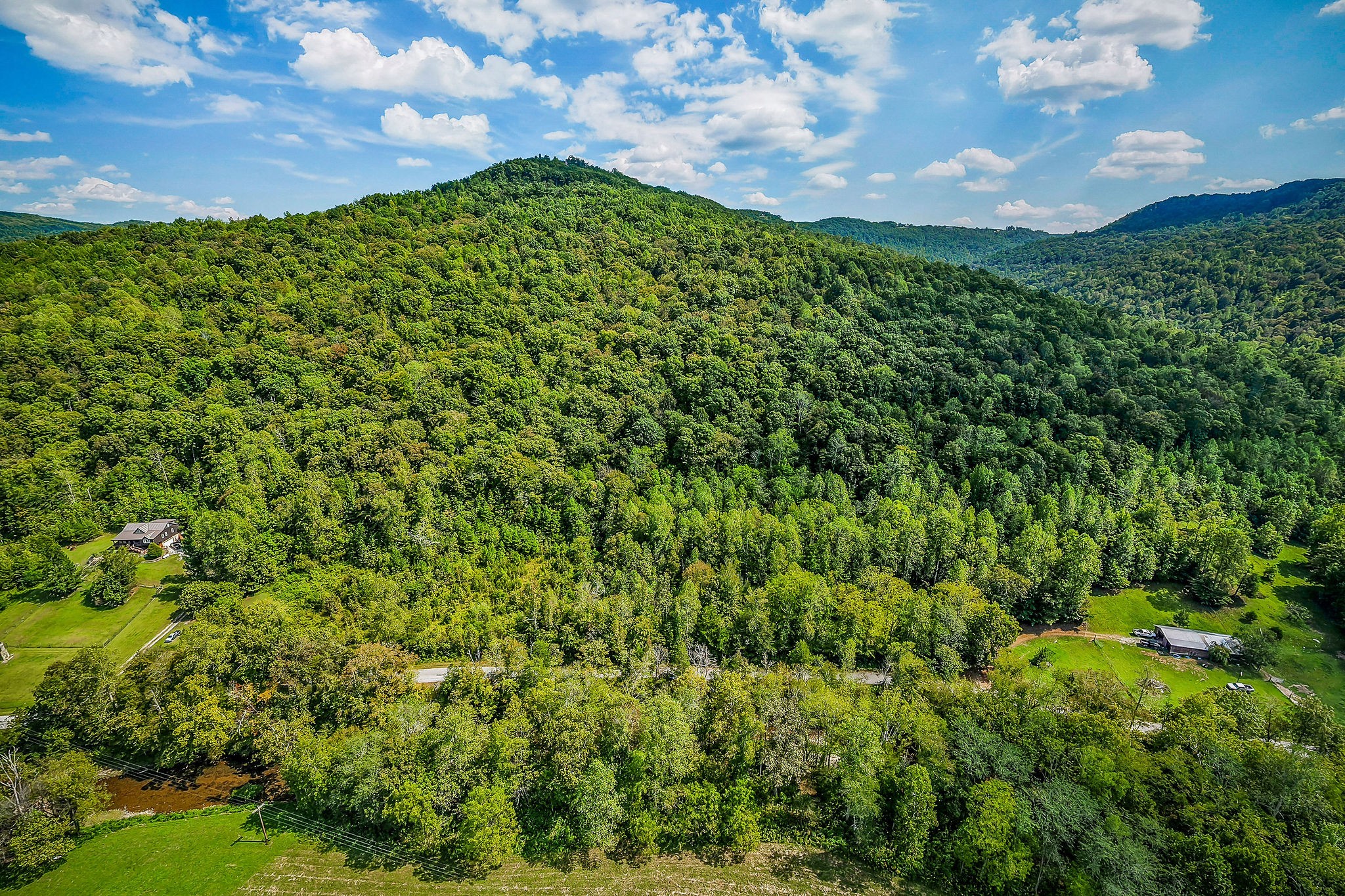 461 Shiloh Road Crawford, TN 38554 - Photo 11 of 15 a view of a bunch of trees