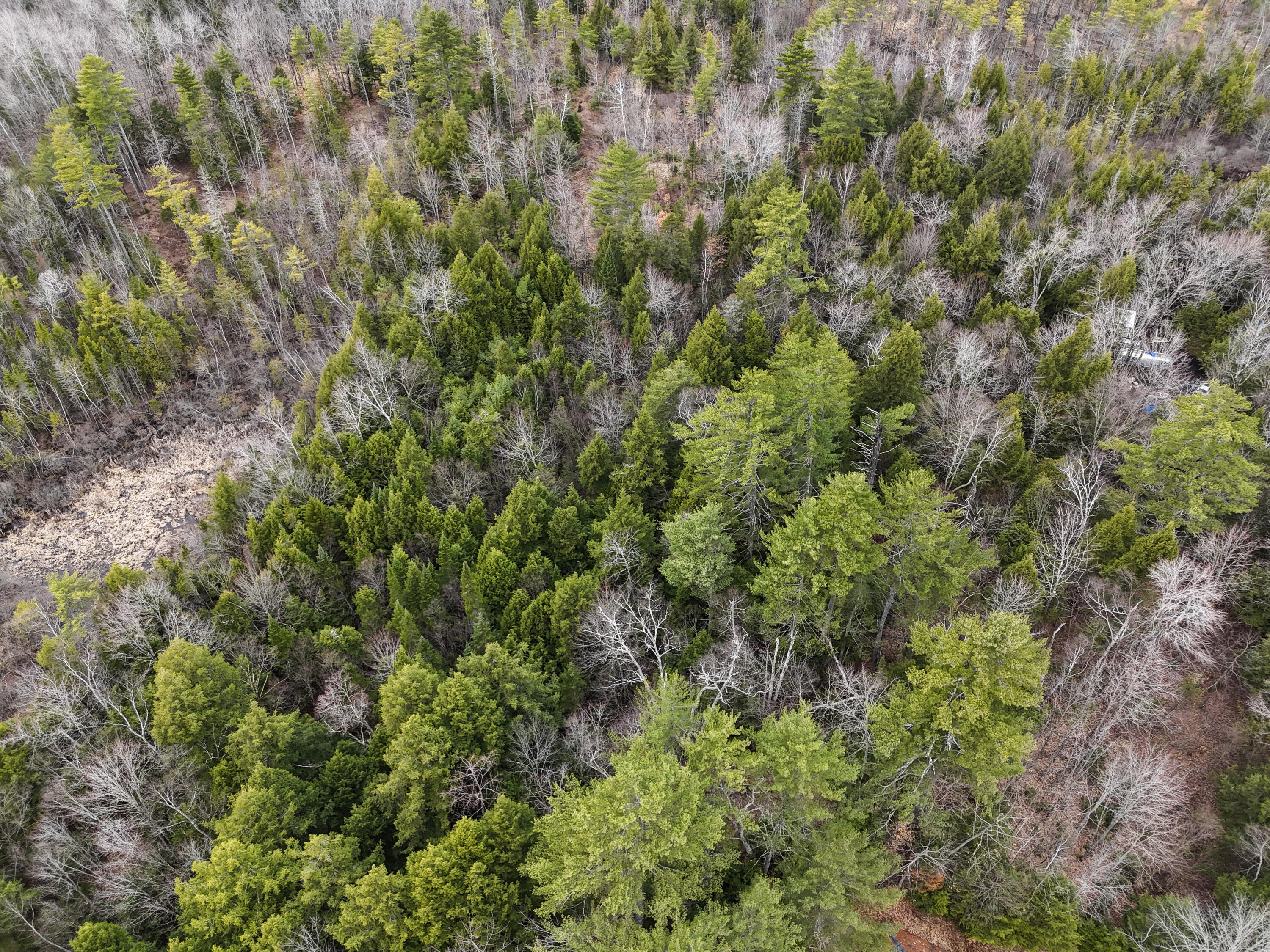 55 Salmon Road Madison, ME 04950 - Photo 15 of 17 Aerial view of property