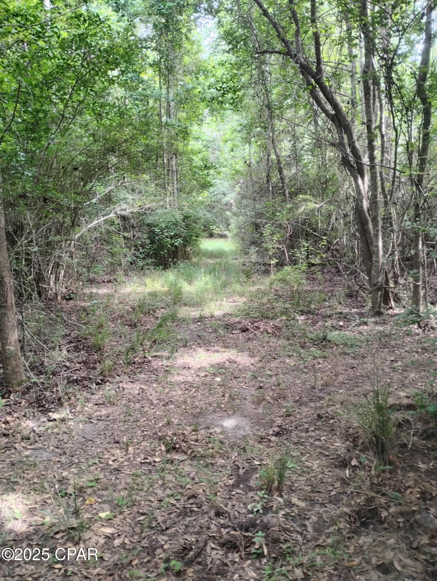 0 Hwy 77 Chipley Chipley, FL 32428 - Photo 15 of 23