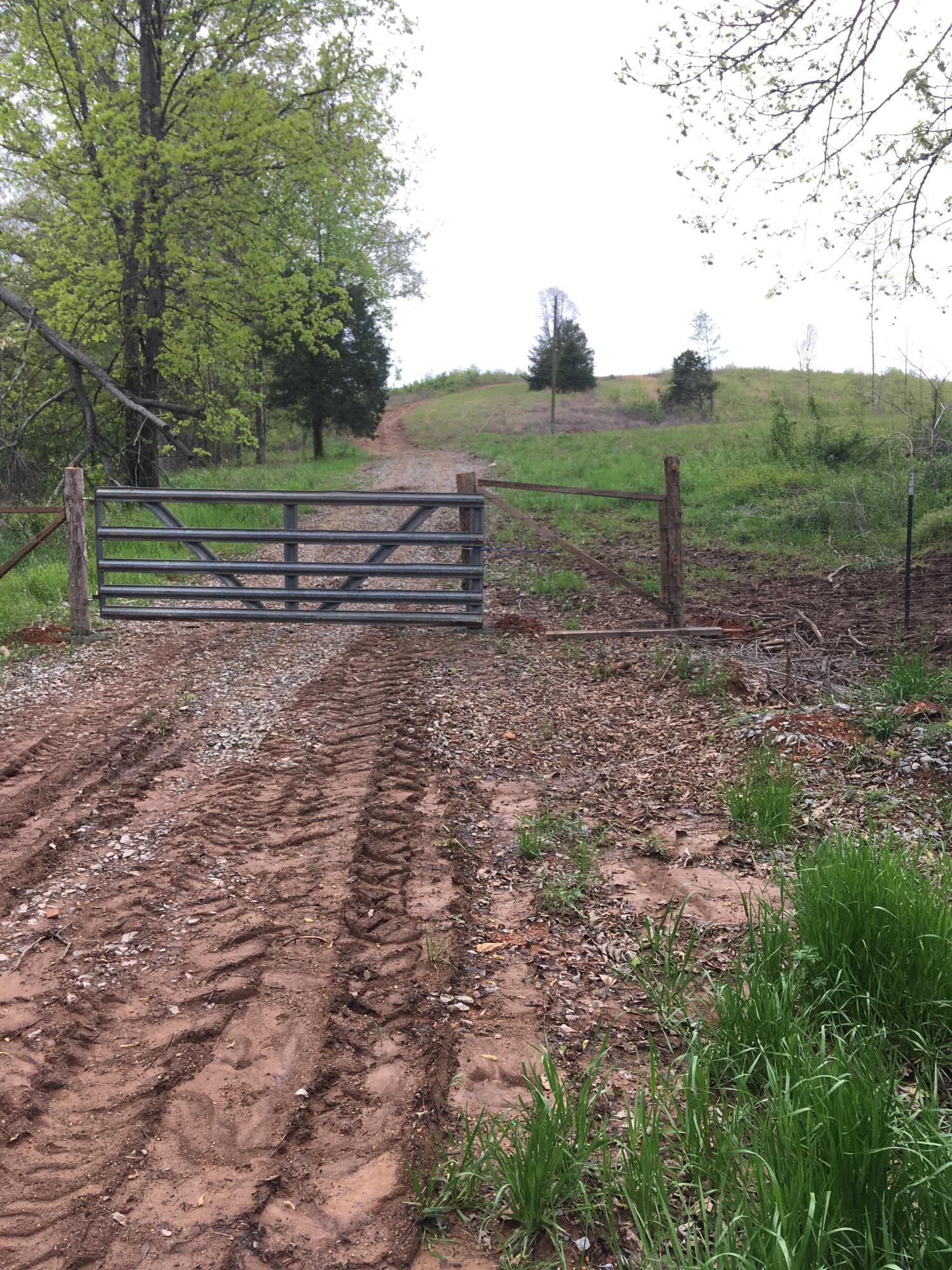 0 Co Road Athens, TN 37303 - Photo 1 of 12