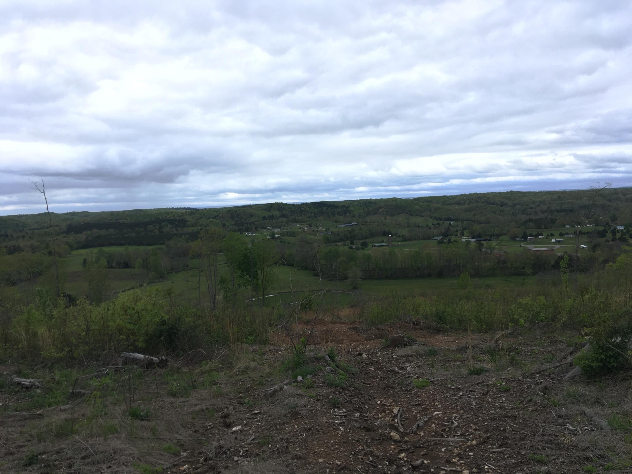 0 Co Road Athens, TN 37303 - Photo 11 of 12