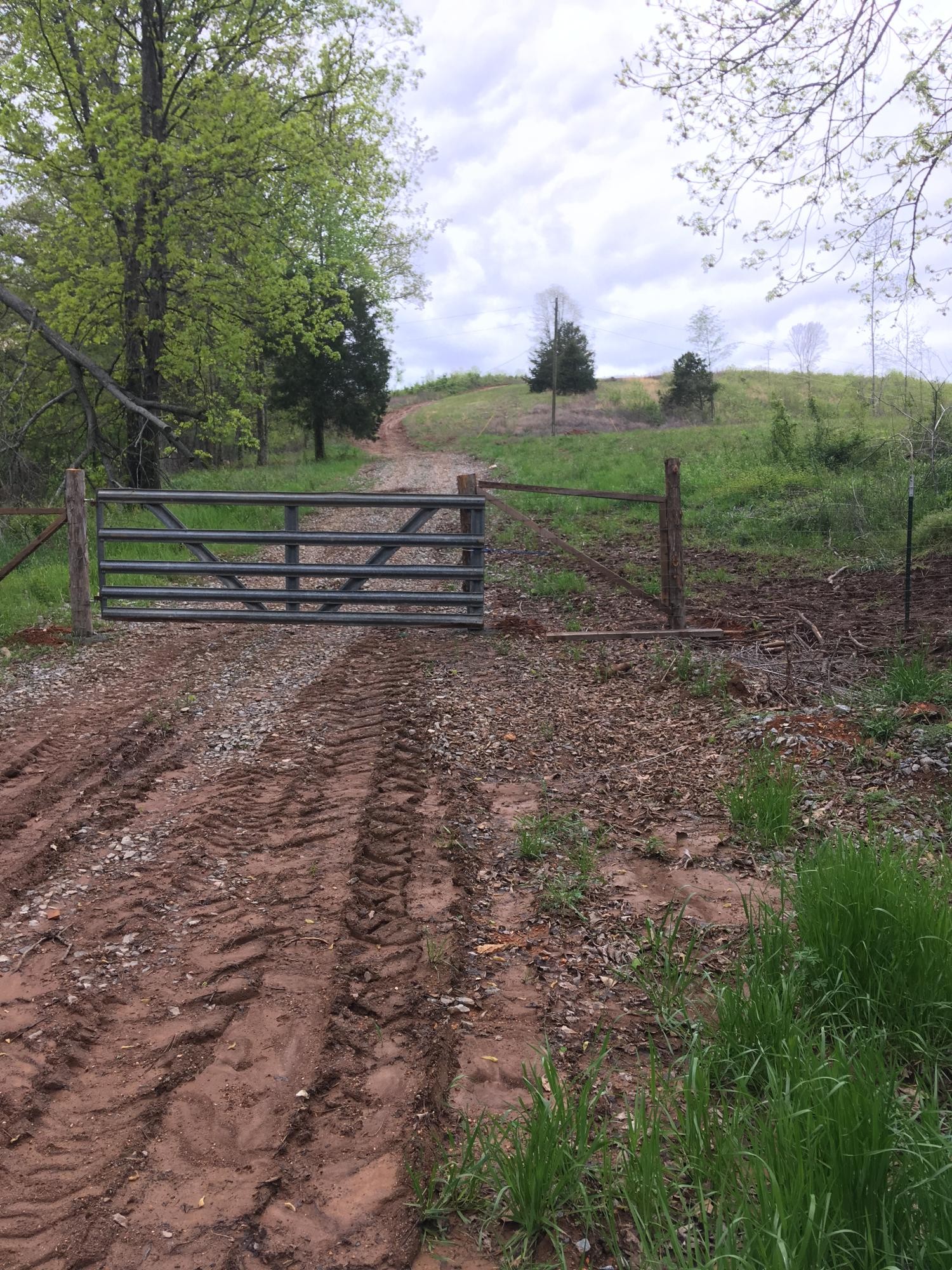 0 Co Road Athens, TN 37303 - Photo 2 of 12