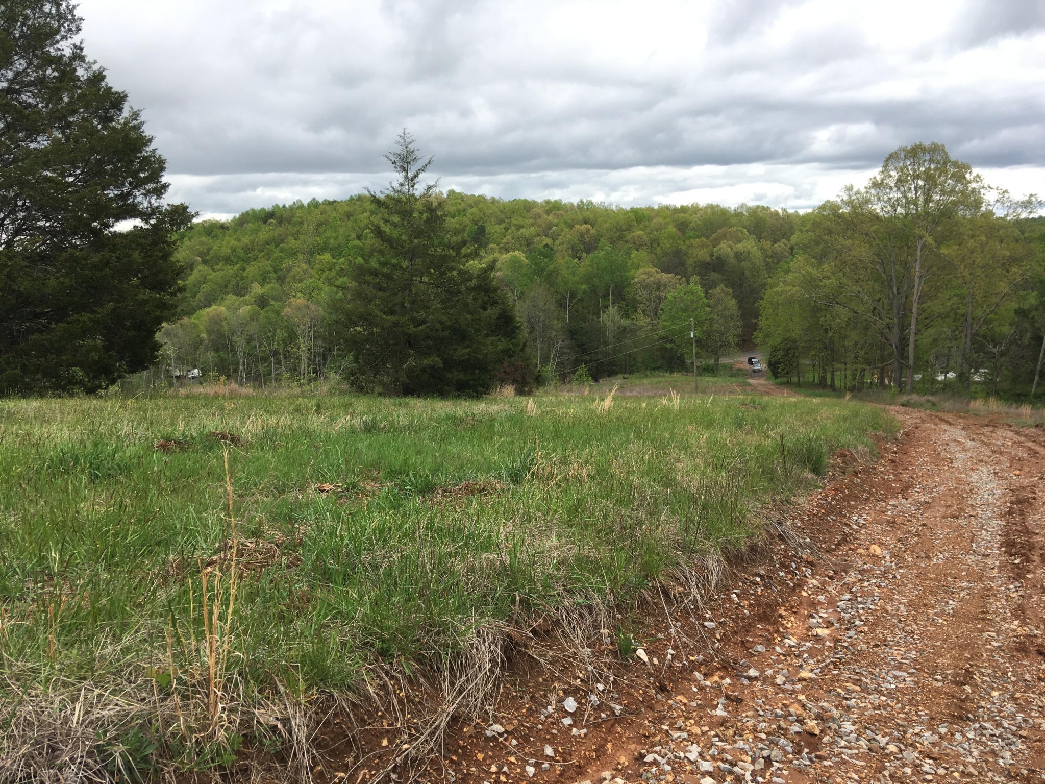 0 Co Road Athens, TN 37303 - Photo 3 of 12