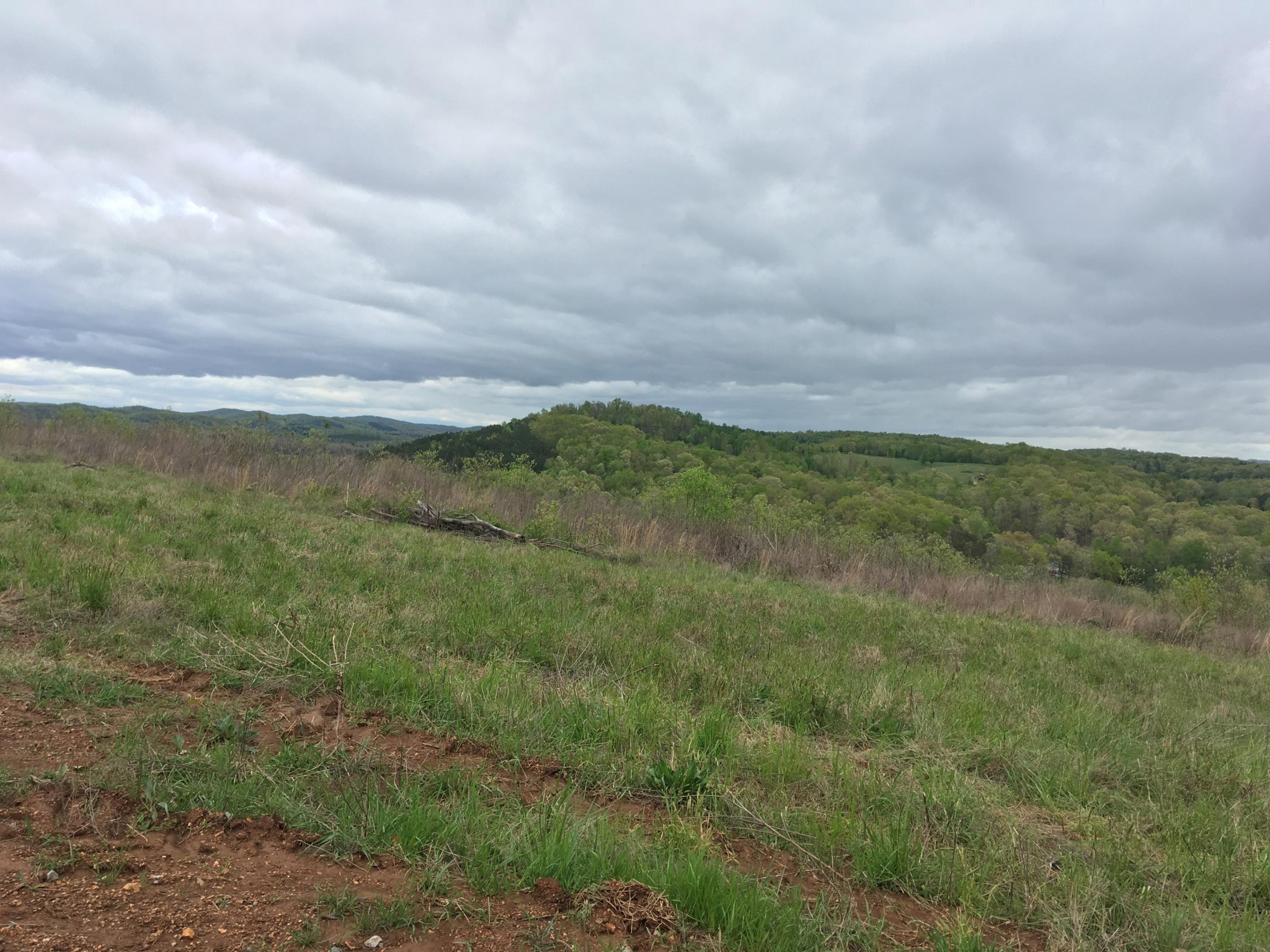 0 Co Road Athens, TN 37303 - Photo 4 of 12