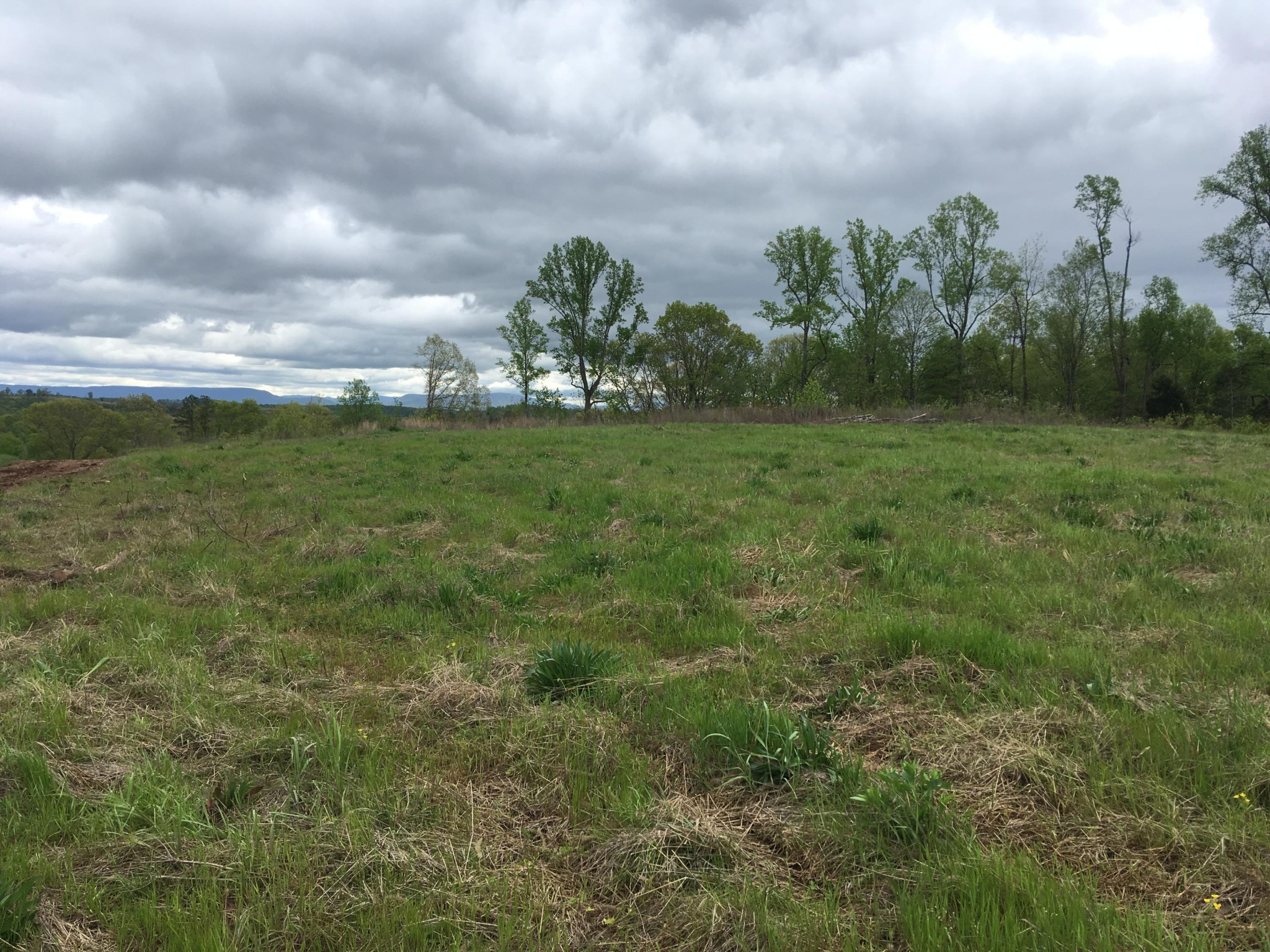 0 Co Road Athens, TN 37303 - Photo 6 of 12