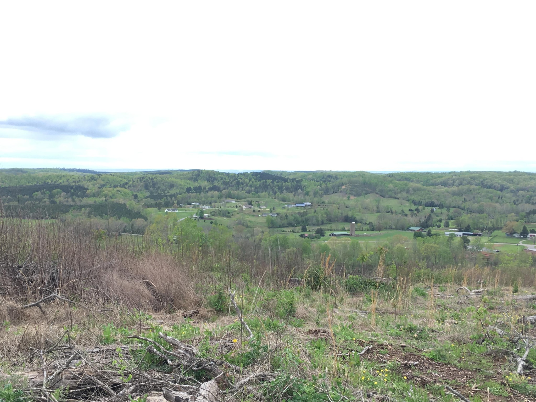 0 Co Road Athens, TN 37303 - Photo 8 of 12