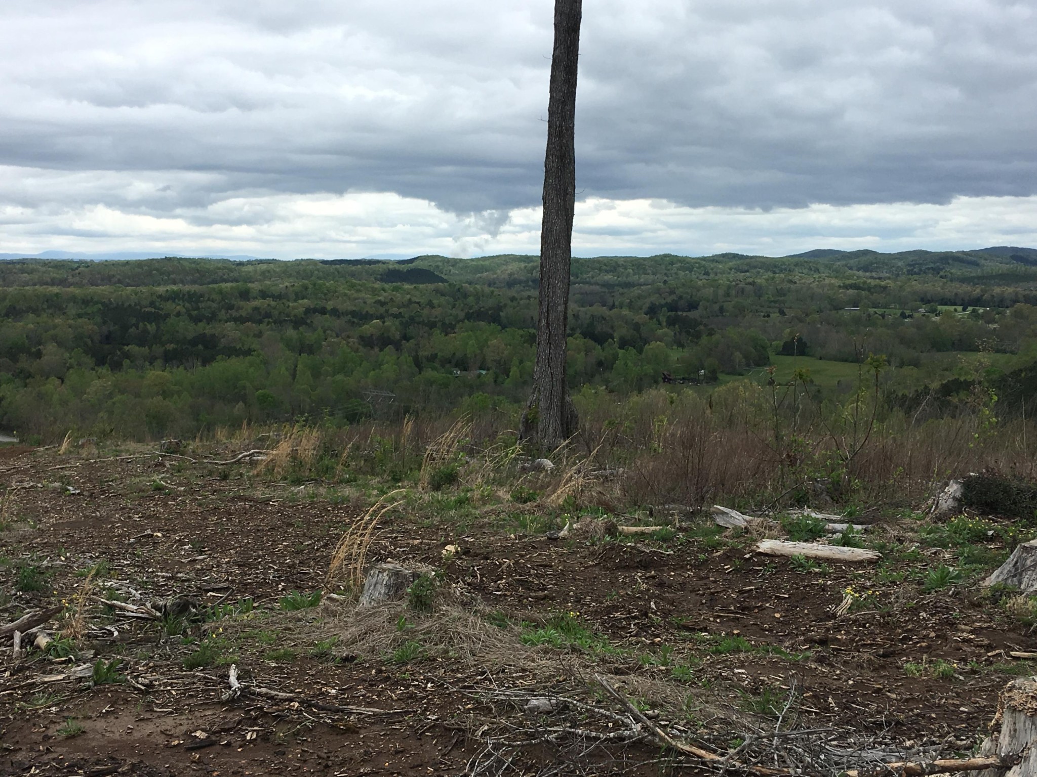 0 Co Road Athens, TN 37303 - Photo 9 of 12