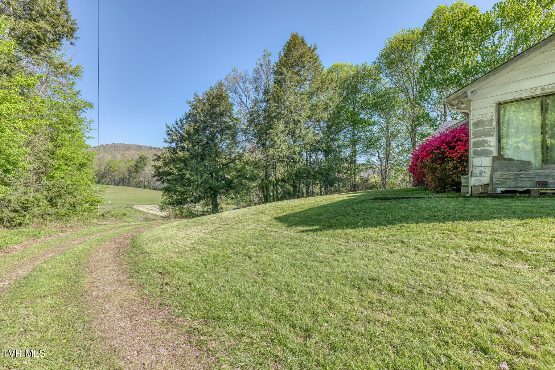 1602 Winchester Road Shady Valley, TN 37688 - Photo 15 of 27 1602 Winchester Rd-15