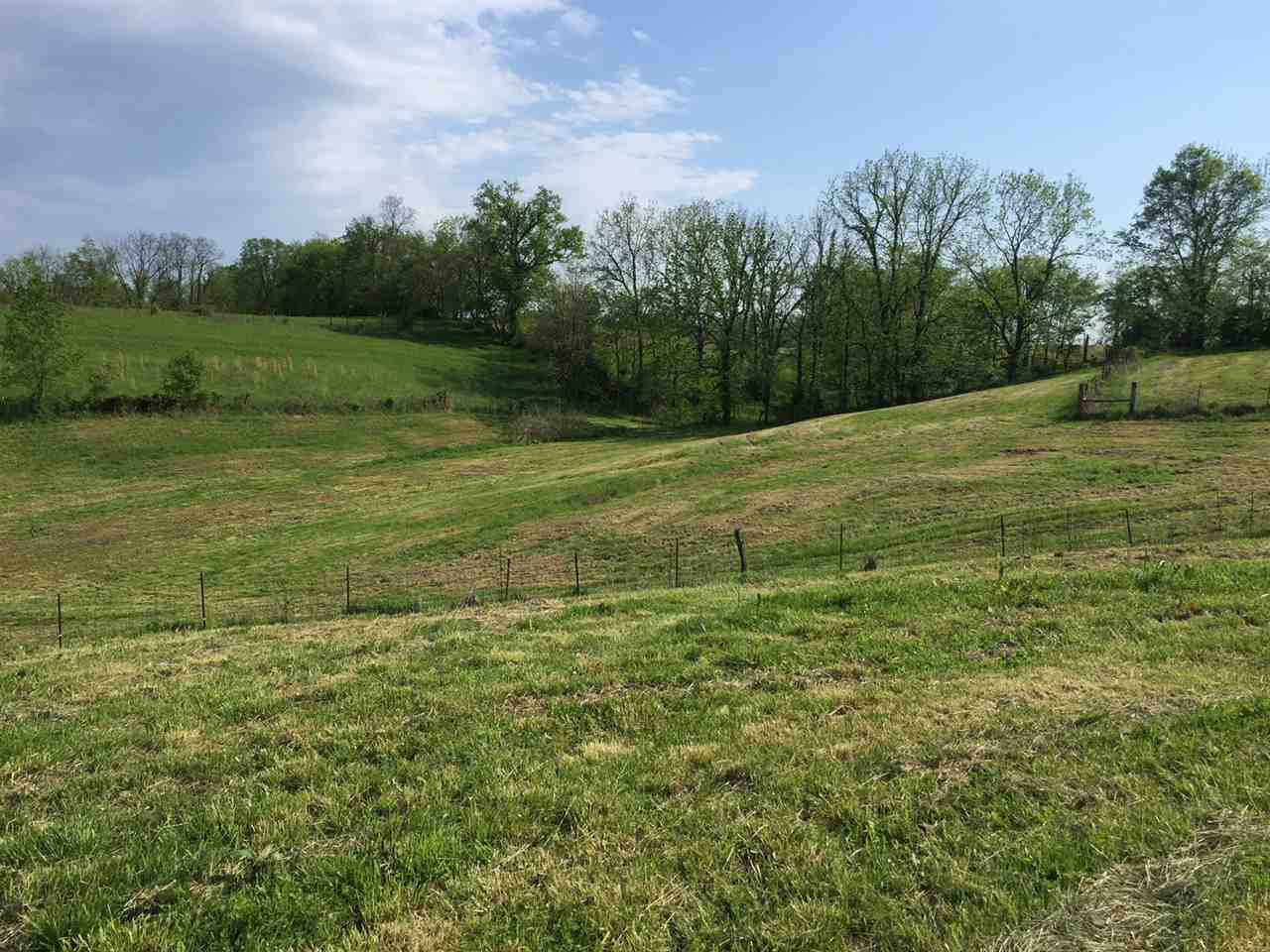 123 Napoleon Ridge Road Warsaw, KY 41095 - Photo 3 of 8