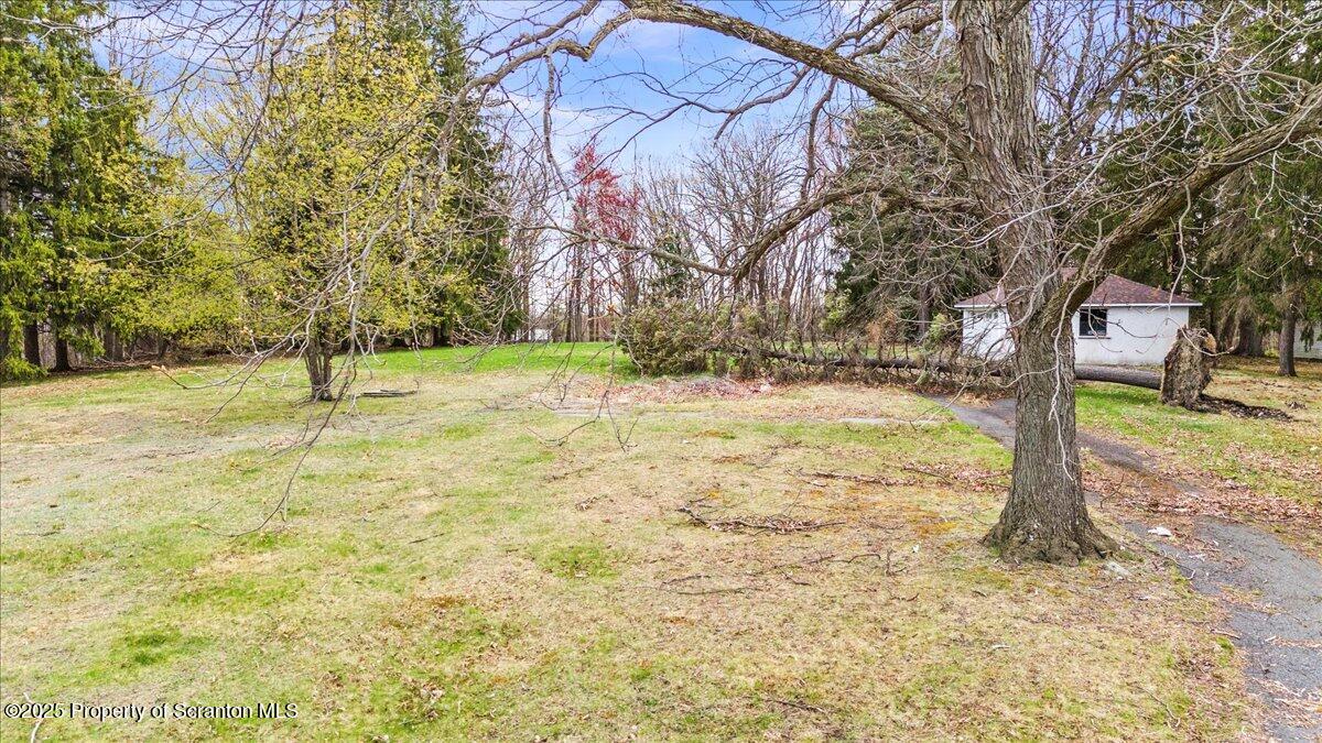 1729 East Elm Street Scranton, PA 18505 - Photo 11 of 14 a backyard of a house with lots of green space