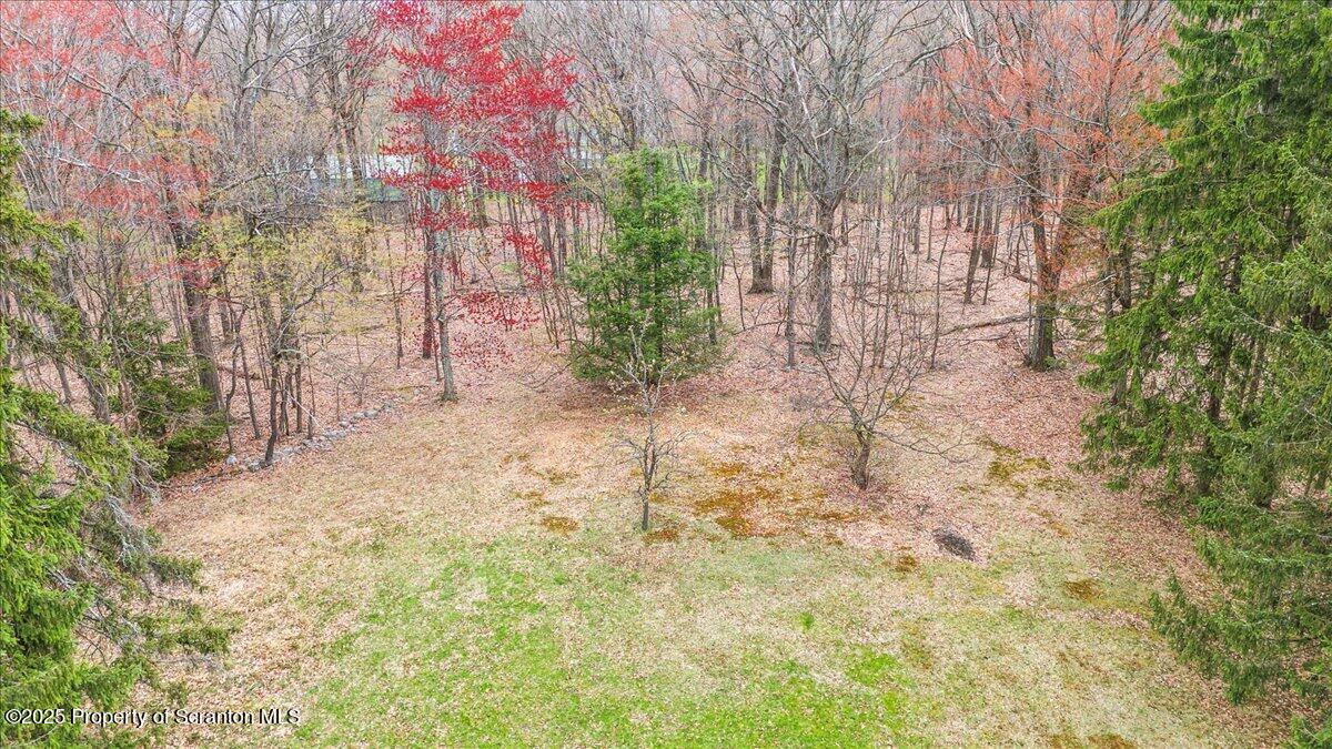 1729 East Elm Street Scranton, PA 18505 - Photo 12 of 14 a backyard of a house with lots of green space