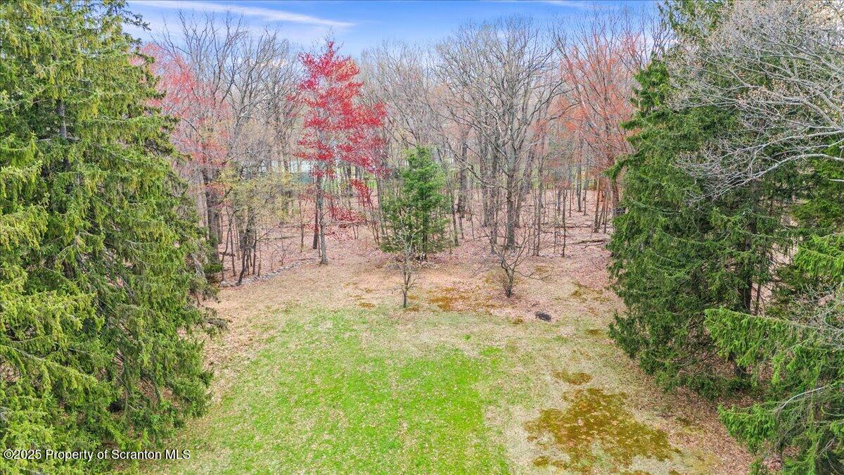 1729 East Elm Street Scranton, PA 18505 - Photo 13 of 14 a view of backyard with tree