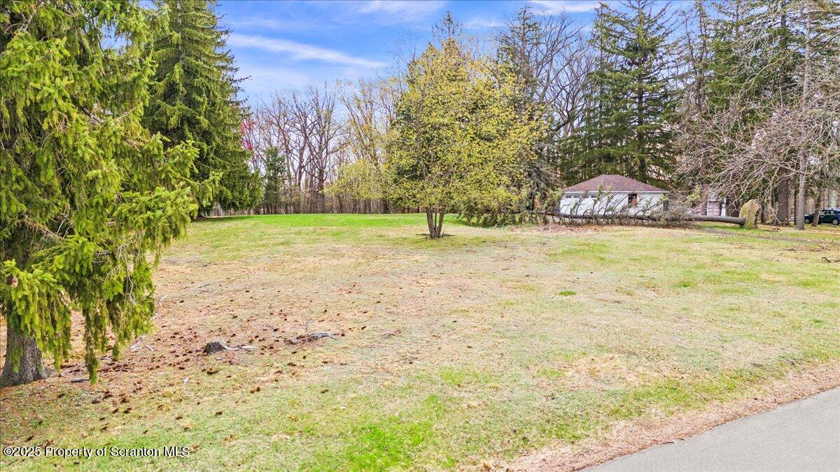 1729 East Elm Street Scranton, PA 18505 - Photo 4 of 14 a backyard of a house with lots of green space