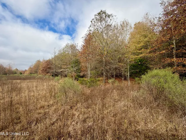 $168,000 | Fairview Road, Charleston, MS 38921