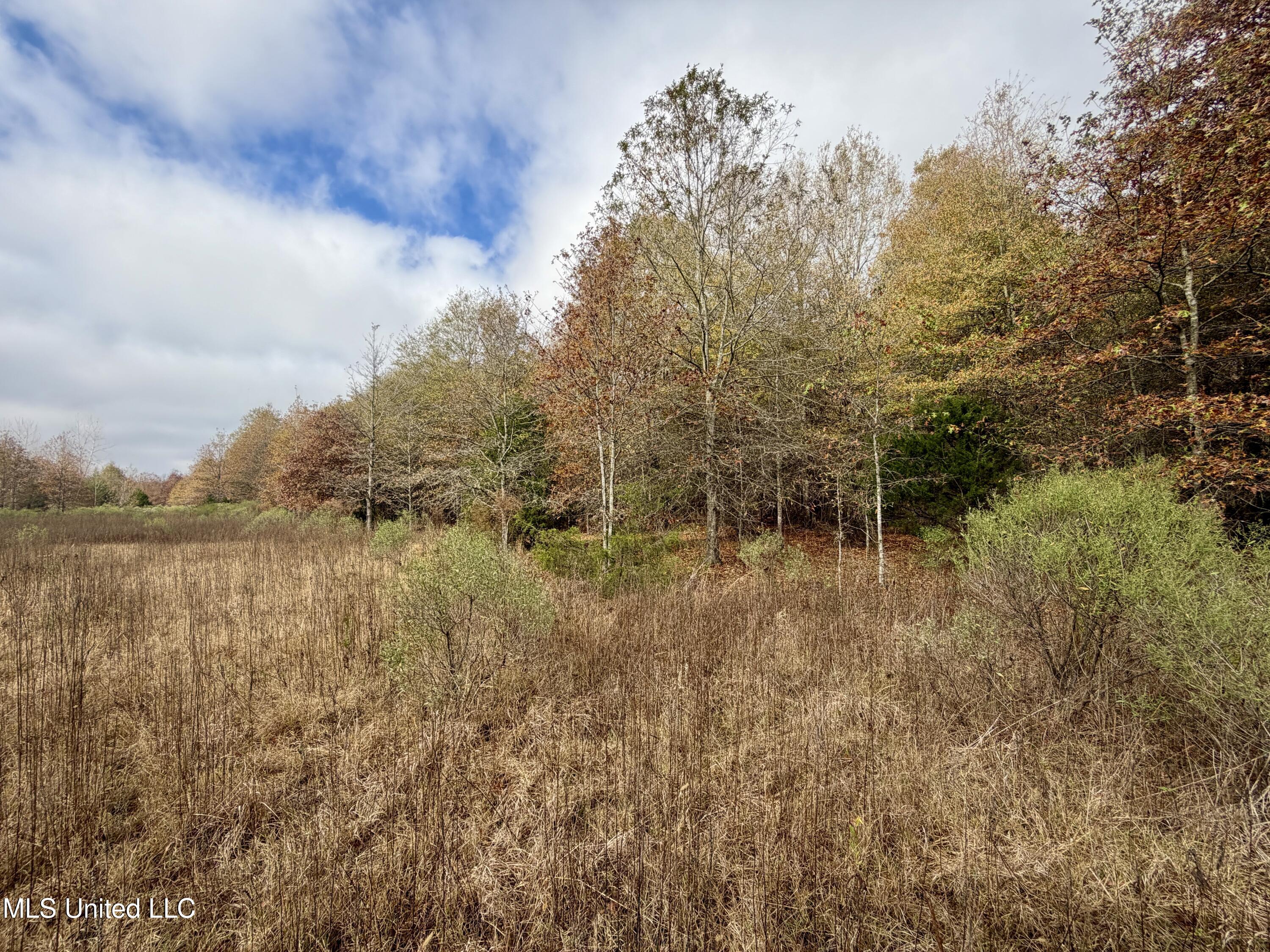 Fairview Road Charleston, MS 38921 - Photo 11 of 25 IMG_0778
