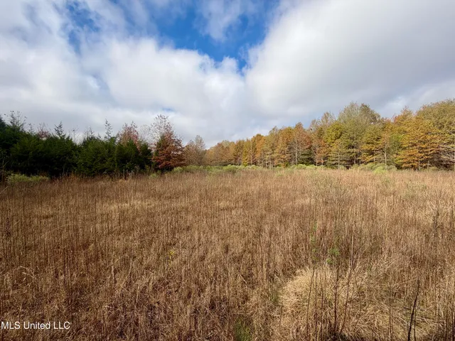 $168,000 | Fairview Road, Charleston, MS 38921