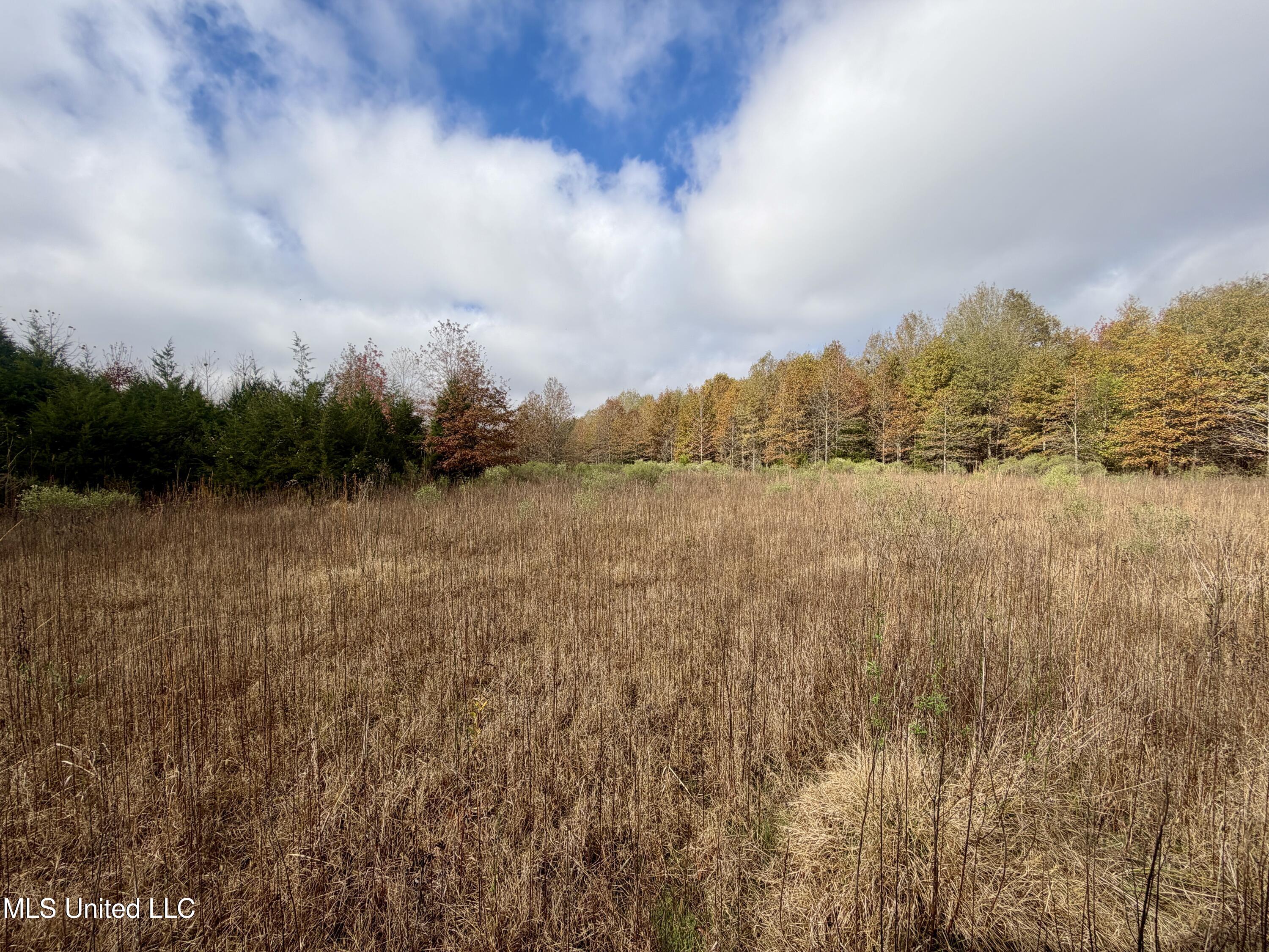 Fairview Road Charleston, MS 38921 - Photo 12 of 25 IMG_0779