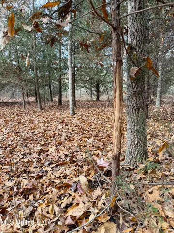 $168,000 | Fairview Road, Charleston, MS 38921