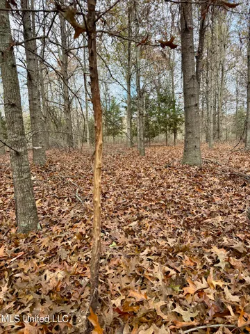 $168,000 | Fairview Road, Charleston, MS 38921