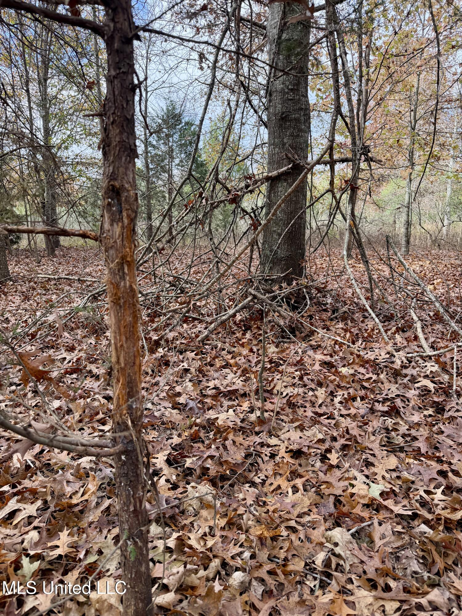 Fairview Road Charleston, MS 38921 - Photo 15 of 25 IMG_0783