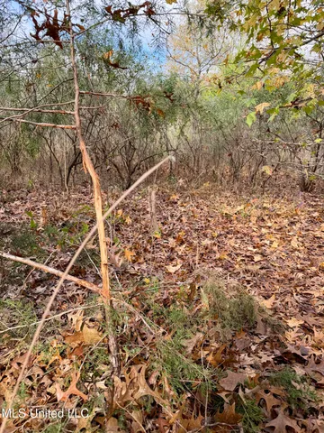 $168,000 | Fairview Road, Charleston, MS 38921