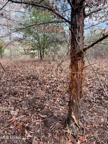 $168,000 | Fairview Road, Charleston, MS 38921