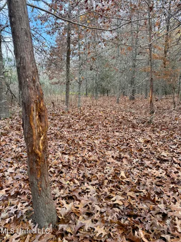 $168,000 | Fairview Road, Charleston, MS 38921