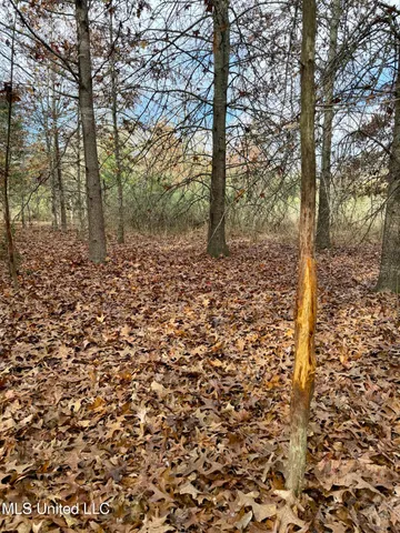 $168,000 | Fairview Road, Charleston, MS 38921