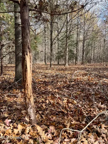 $168,000 | Fairview Road, Charleston, MS 38921