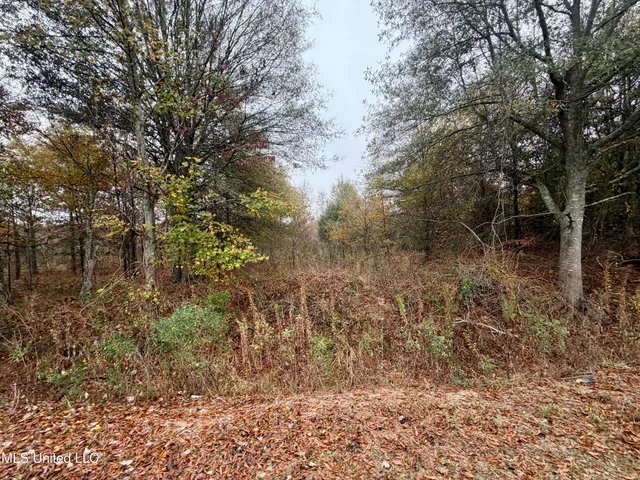 $168,000 | Fairview Road, Charleston, MS 38921