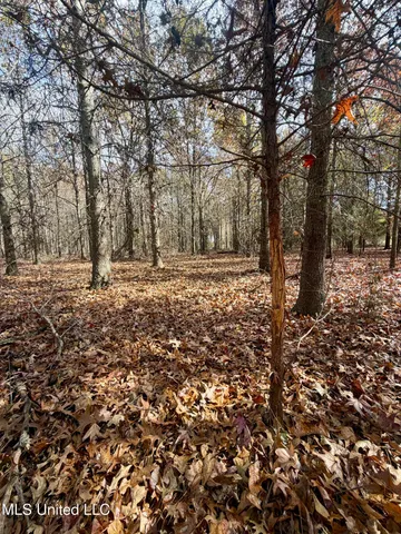 $168,000 | Fairview Road, Charleston, MS 38921
