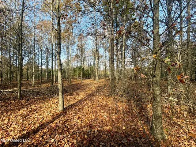 $168,000 | Fairview Road, Charleston, MS 38921