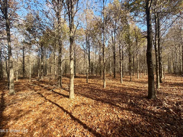 $168,000 | Fairview Road, Charleston, MS 38921