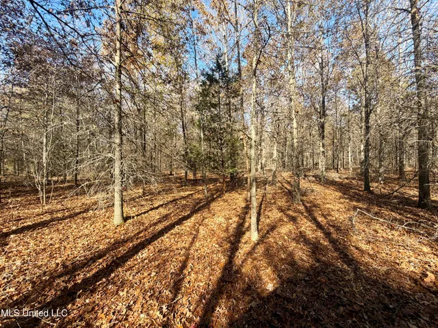 $168,000 | Fairview Road, Charleston, MS 38921