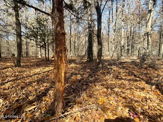 $168,000 | Fairview Road, Charleston, MS 38921