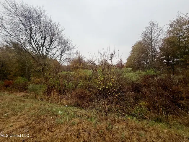 $168,000 | Fairview Road, Charleston, MS 38921