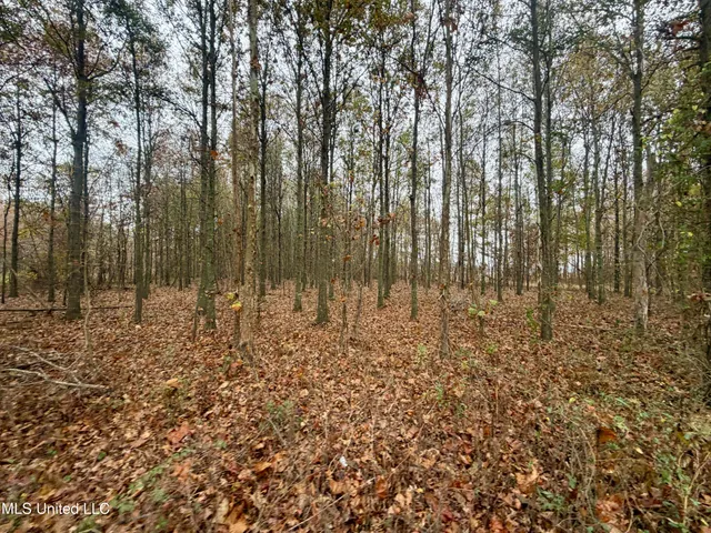 $168,000 | Fairview Road, Charleston, MS 38921