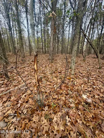 $168,000 | Fairview Road, Charleston, MS 38921