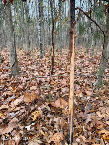 $168,000 | Fairview Road, Charleston, MS 38921