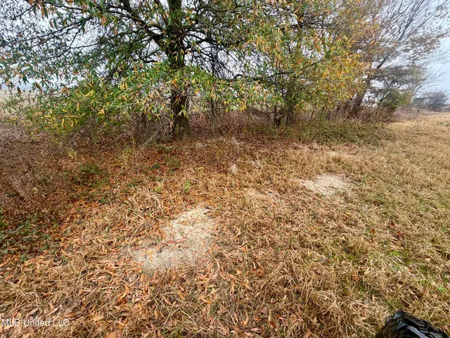 $168,000 | Fairview Road, Charleston, MS 38921