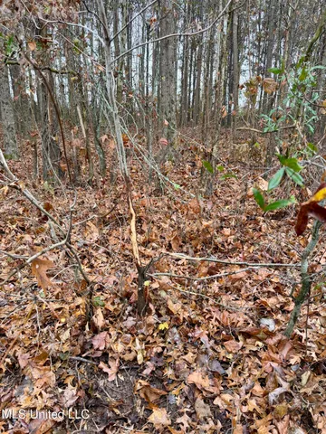 $168,000 | Fairview Road, Charleston, MS 38921