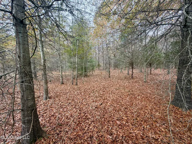 $168,000 | Fairview Road, Charleston, MS 38921