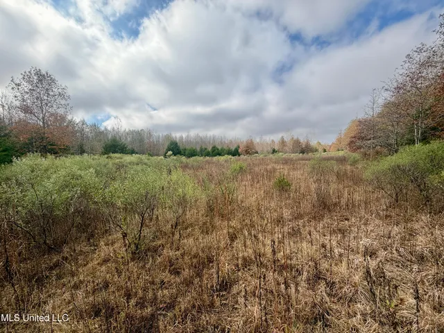 $168,000 | Fairview Road, Charleston, MS 38921