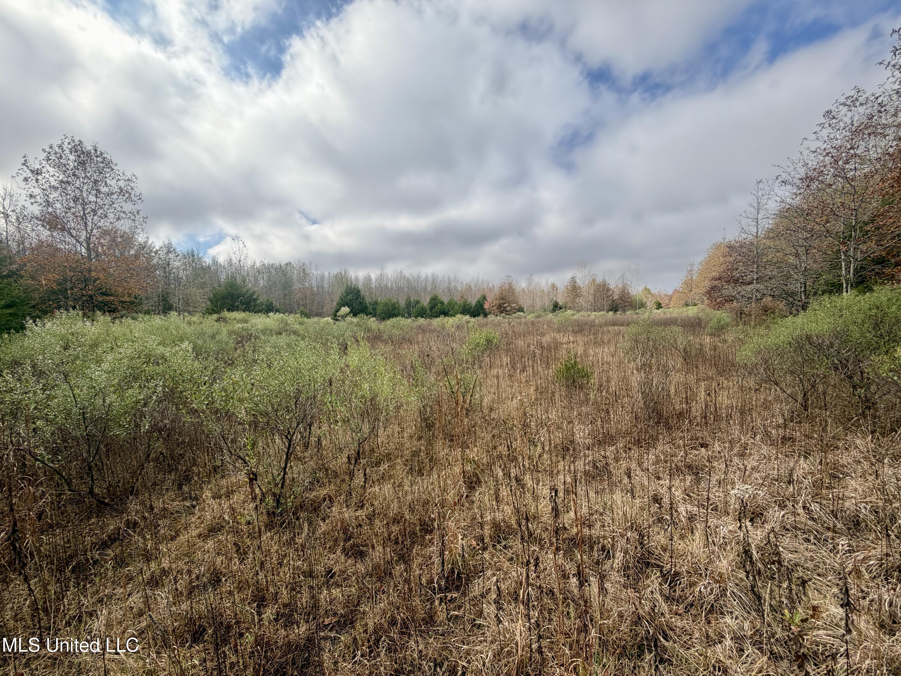 Fairview Road Charleston, MS 38921 - Photo 10 of 25 IMG_0777