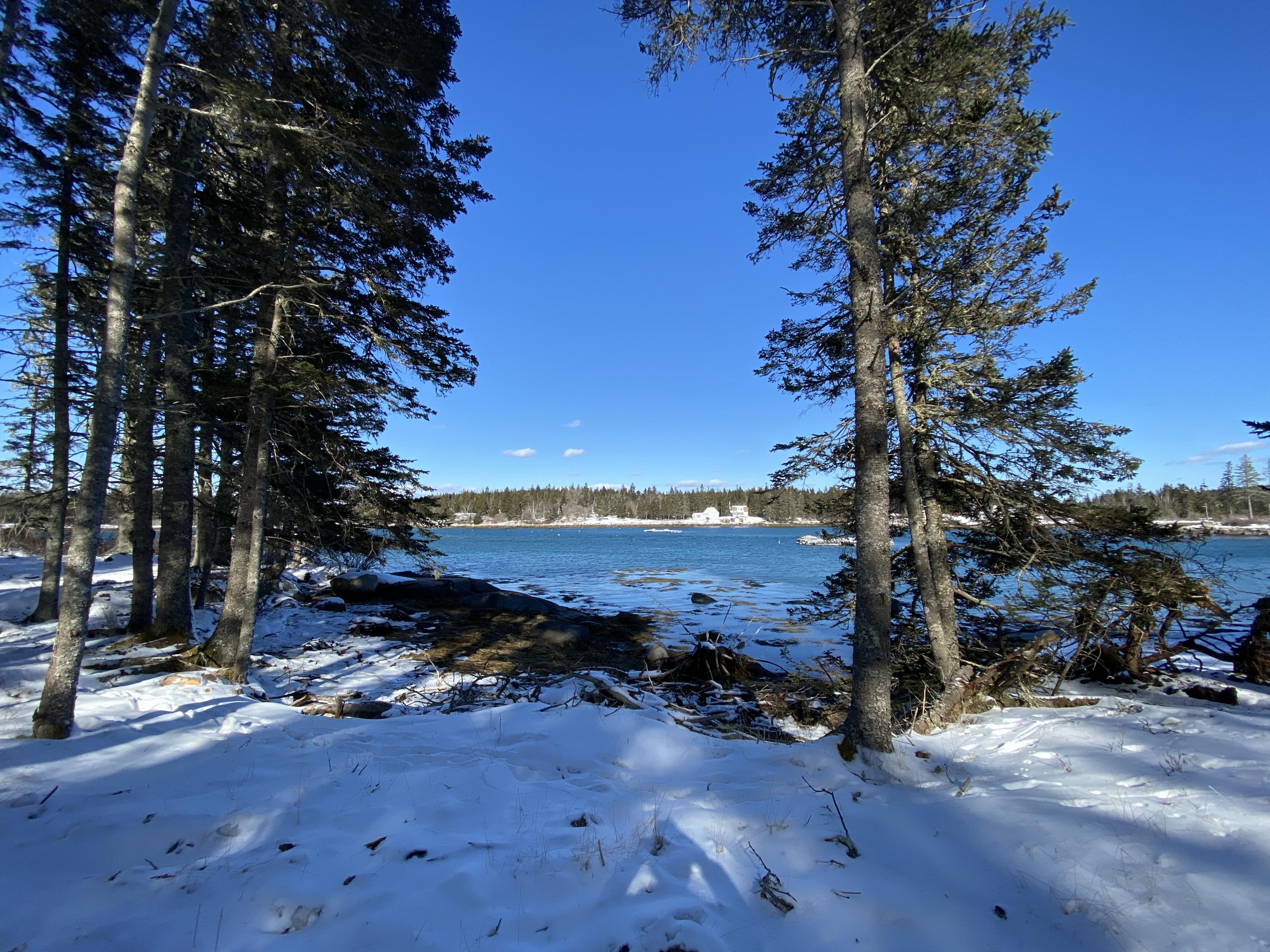 93 A Dyers Island Road Vinalhaven, ME 04863 - Photo 19 of 28 IMG_6446