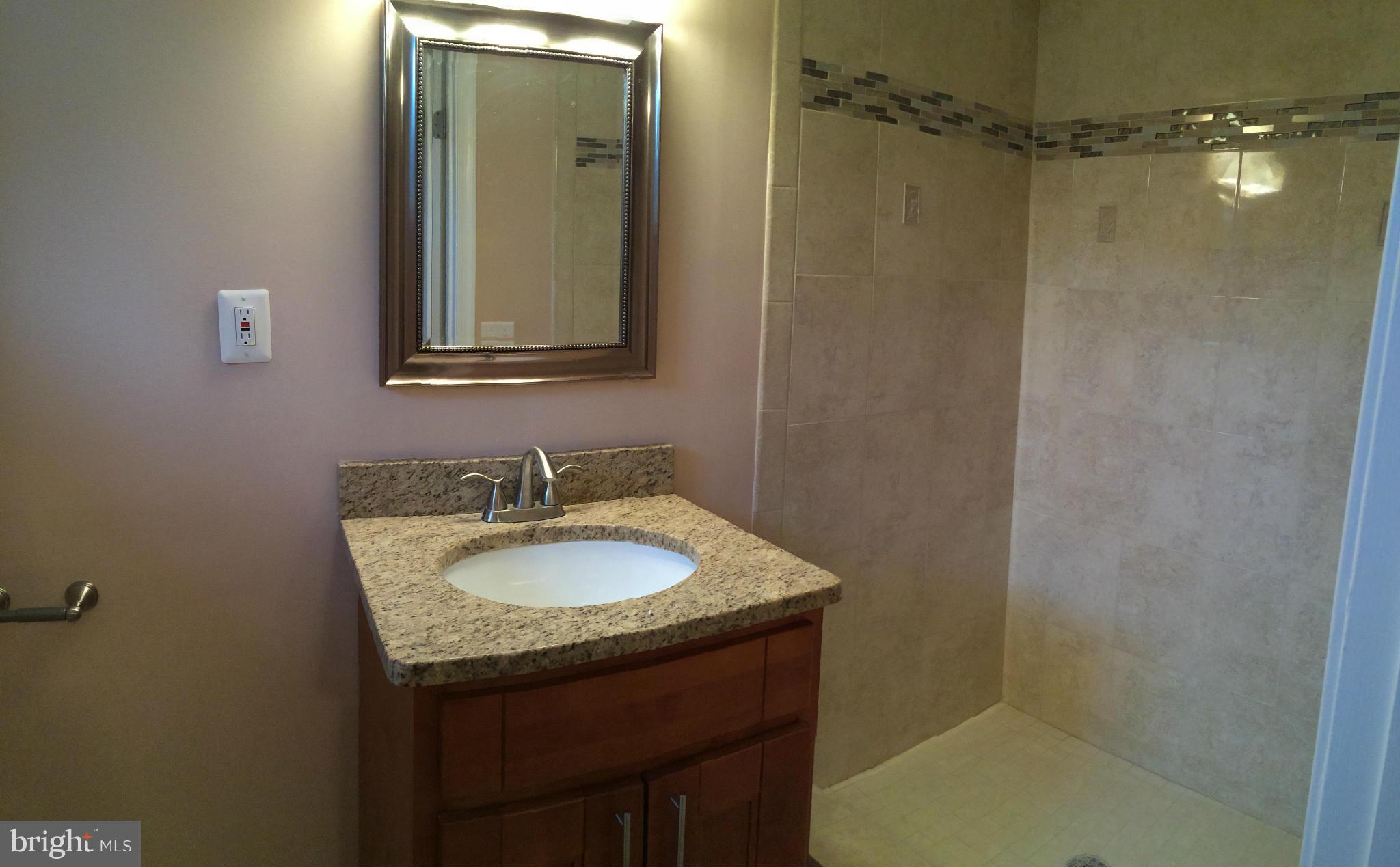 3909 Colborne Road Baltimore, MD 21229 - Photo 14 of 20 Basement Bath