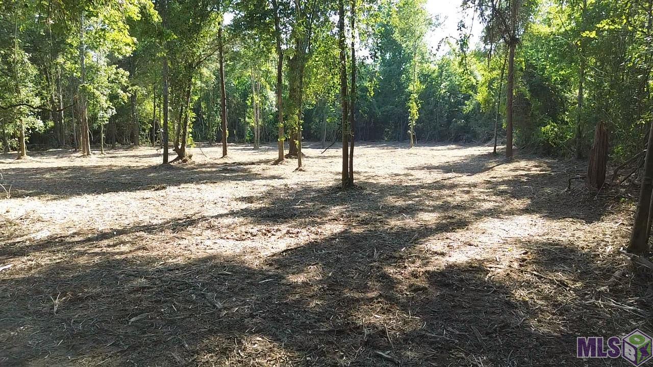 81295 South Morgan Road Folsom, LA 70437 - Photo 2 of 10