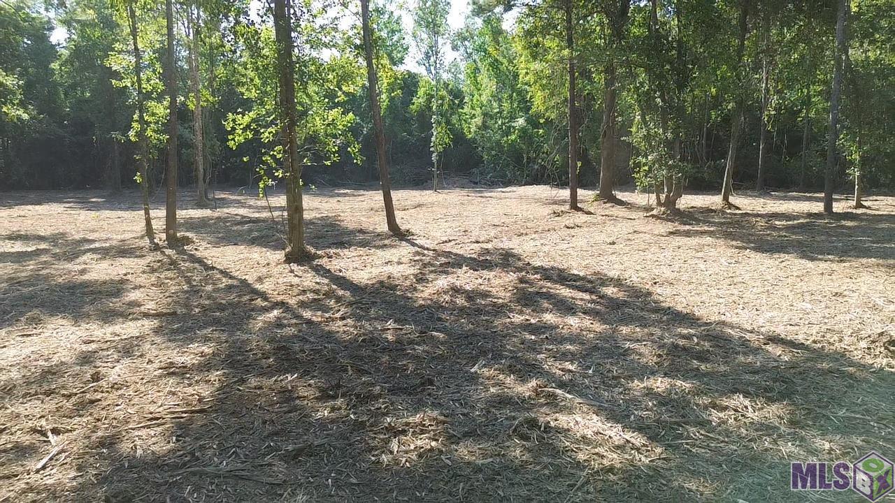 81295 South Morgan Road Folsom, LA 70437 - Photo 3 of 10