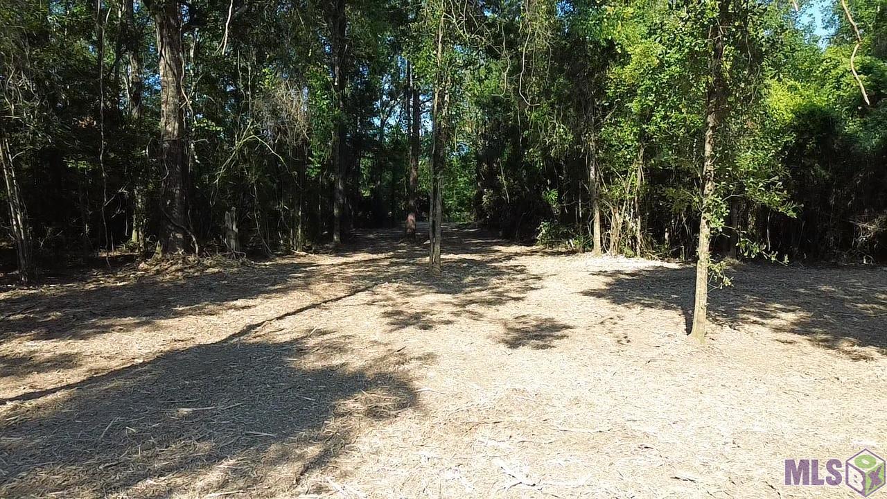 81295 South Morgan Road Folsom, LA 70437 - Photo 4 of 10